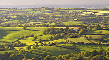 Rolling patchwork countryside, Dartmoor National Park, Devon, England, United Kingdom, Europe