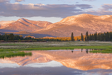 Tuolumne Meadows at sunset, Yosemite National Park, UNESCO World Heritage Site, California, United States of America, North America