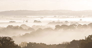 Mist covered countryside at dawn, Cheriton Bishop, Devon, England, United Kingdom, Europe