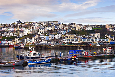 Boats and houses at Brixham harbour in South Devon, England, United Kingdom, Europe