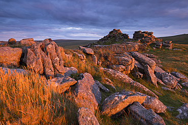 Dramatic rugged scenery on West Mill Tor, Dartmoor National Park, Devon, England, United Kingdom, Europe