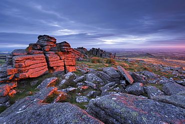 First light at sunrise glows against Belstone Tor, Dartmoor National Park, Devon, England, United Kingdom, Europe