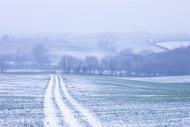 Rolling farmland during a winter blizzard, Morchard Bishop, Devon, England, United Kingdom, Europe