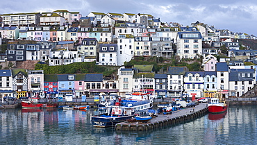 Boats in Brixham harbour at dawn, Brixham, Devon, England, United Kingdom, Europe