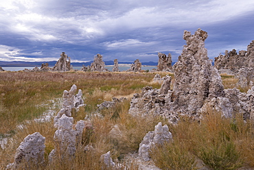 Tufa towers on the shores of Mono Lake, California, United States of America, North America