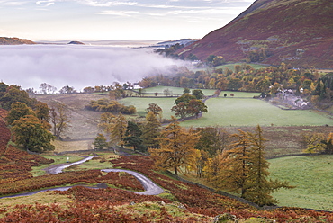 Morning mist floating over autumnal landscape near Ullswater, Lake District National Park, Cumbria, England, United Kingdom, Europe