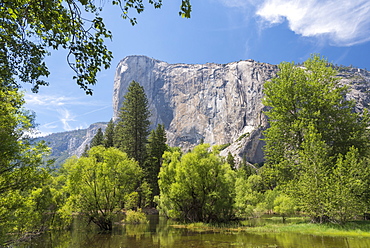 El Capitan rising above the spring foliage of Yosemite Valley, UNESCO World Heritage Site, California, United States of America, North America