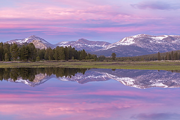 Pink sunset sky above Tuolumne Meadows, Yosemite National Park, UNESCO World Heritage Site, California, United States of America, North America