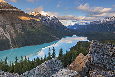 Early morning at the beautiful Peyto Lake, Banff National Park, UNESCO World Heritage Site, Canadian Rockies, Alberta, Canada, North America