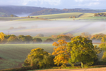 Mist covered rolling farmland, near Cheriton Bishop, Devon, England, United Kingdom, Europe