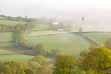 Mist covered countryside at dawn near the village of South Tawton, Devon, England, United Kingdom, Europe