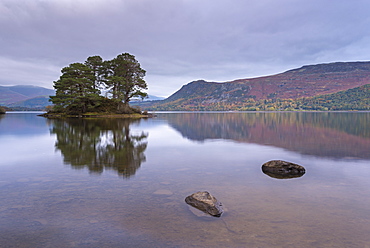 Island in the tranquil waters of Derwent Water, Lake District National Park, Cumbria, England, United Kingdom, Europe