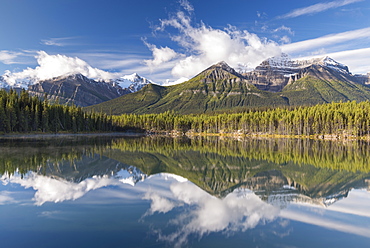 Mirror reflections at Herbert Lake in the Canadian Rockies, Banff National Park, UNESCO World Heritage Site, Alberta, Canada, North America