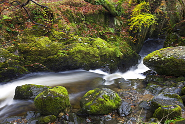 Aira Beck flowing into Aira Force, Lake District National Park, Cumbria, England, United Kingdom, Europe