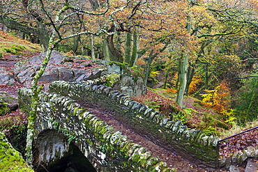 Stone bridge crossing Aira Force waterfall in autumn, Lake District National Park, Cumbria, England, United Kingdom, Europe