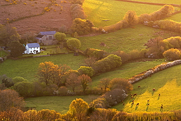 Rural cottage in idyllic countryside surroundings, Dartmoor National Park, Devon, England, United Kingdom, Europe