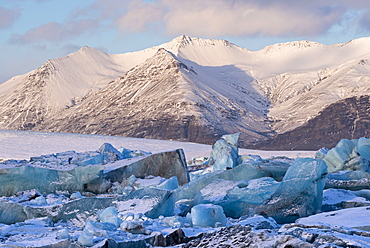 Blue ice crowds Jokulsarlon glacial lagoon in Iceland, Polar Regions