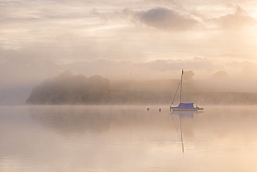 Sailing boat moored on a misty Wimbleball Lake at dawn, Exmoor National Park, Somerset, England, United Kingdom, Europe