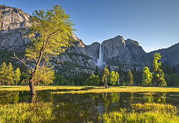 Yosemite Falls beyond a flooded meadow in Yosemite Valley, Yosemite National Park, UNESCO World Heritage Site, California, United States of America, North America