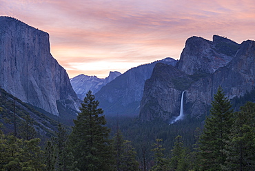 Yosemite Valley, with El Capitan and Bridal Veil Falls beneath a beautiful pink dawn sky, Yosemite National Park, UNESCO World Heritage Site, California, United States of America, North America