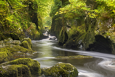 The mystical Fairy Glen near Betws y Coed in Snowdonia National Park, North Wales, United Kingdom, Europe