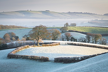 Frost covered countryside near Crediton, Mid Devon, England, United Kingdom, Europe