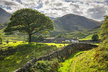 Idyllic countryside and farmhouse, Little Langdale, Lake District National Park, UNESCO World Heritage Site, Cumbria, England, United Kingdom, Europe