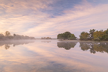 Hatchet Pond reflecting a beautiful pink misty sunrise, Beaulieu, New Forest, England, United Kingdom, Europe