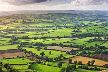 Rolling fields near Llangorse, Brecon Beacons National Park, Powys, Wales, United Kingdom, Europe