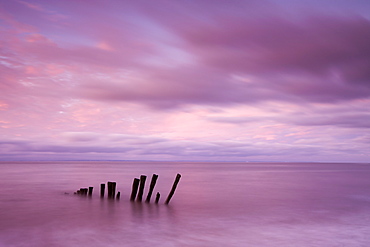 Remains of a wooden groyne at Bossington Beach, Exmoor National Park, Somerset, England, United Kingdom, Europe