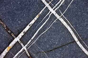 Quartz veins in rocks at Sandymouth Bay, Cornwall, England, United Kingdom, Europe