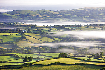 Mist covered rolling farmland at dawn, near Llangadog, Brecon Beacons National Park, Carmarthenshire, Wales, United Kingdom, Europe