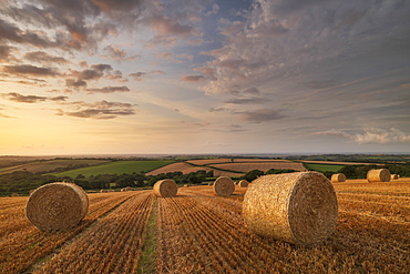 Straw bales at sunset in rural Devon, Livaton, Devon, England, United Kingdom, Europe