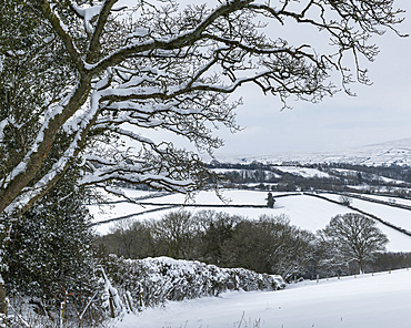 Snow covered Dartmoor countryside in winter near South Tawton, Devon, England, United Kingdom, Europe