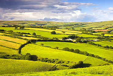 Rolling countryside near Kentisbury, Exmoor National Park, Devon, England, United Kingdom, Europe