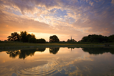 Salisbury Cathedral reflected in a pond at dawn, Salisbury, Wiltshire, England, United Kingdom, Europe