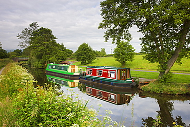 Narrowboats on the Monmouthshire and Brecon Canal near Llanfrynach, Brecon Beacons National Park, Powys, Wales, United Kingdom, Europe