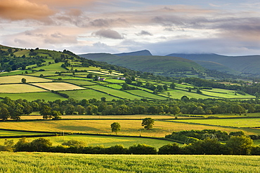 Rolling summer farmland in the Usk Valley backed by Pen y Fan and Cribyn mountains, Brecon Beacons National Park, Powys, Wales, United Kingdom, Europe