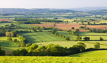 Rolling farmland on the outskirts of Exeter, Devon, England, United Kingdom, Europe