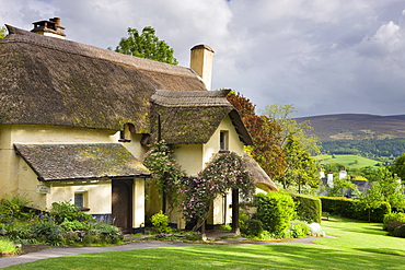 Pretty thatched cottage in the picturesque village of Selworthy, Exmoor National Park, Somerset, England, United Kingdom, Europe