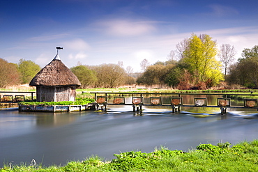 Thatched fisherman's hut and eel traps spanning the River Test near Leckford, Hampshire, England, United Kingdom, Europe