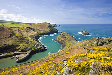 Boscastle Harbour from Penally Hill, North Cornwall, England, United Kingdom, Europe