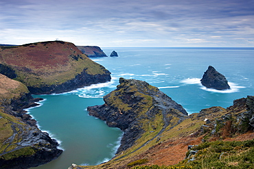 North Cornish coastline at Penally Point, Boscastle, Cornwall, England, United Kingdom, Europe