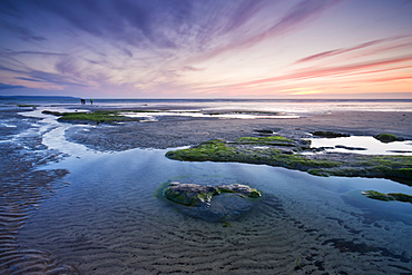 Rockpools at low tide in Westward Ho!, Devon, England, United Kingdom, Europe