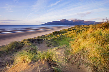 Early morning sunlight lights up the Mountains of Mourne, and the sand dunes of Murlough Bay in County Down, Ulster, Northern Ireland, United Kingdom, Europe