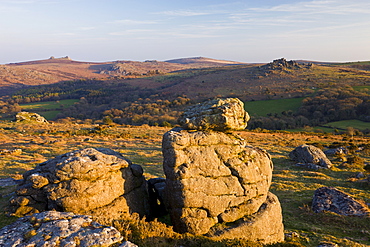 Houndtor and Haytor Rocks viewed from Hayne Down, Dartmoor National Park, Devon, England, United Kingdom, Europe