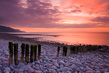 Wooden groyne sea defenses on Bossington Beach at sunset, Exmoor National Park, Somerset, England, United Kingdom, Europe