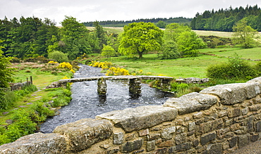 Ancient Clapper Bridge over the West Dart River at Two Bridges, Dartmoor National Park, Devon, England, United Kingdom, Europe