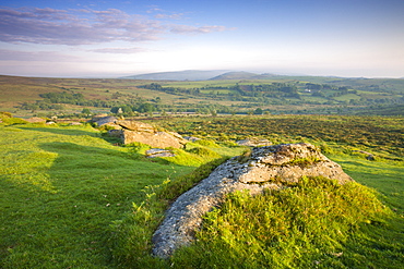 Moorland near Saddle Tor, Dartmoor National Park, Devon, England, United Kingdom, Europe