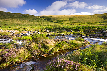 River Tavy running through Tavy Cleave in Dartmoor National Park, Devon, England, United Kingdom, Europe